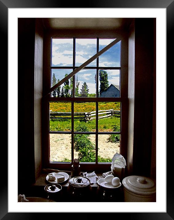 Garden Window Framed Mounted Print by Mark Sellers