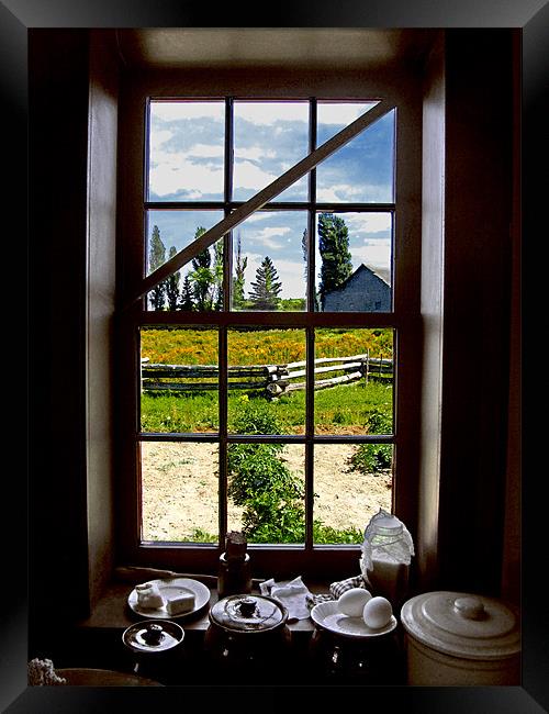 Garden Window Framed Print by Mark Sellers
