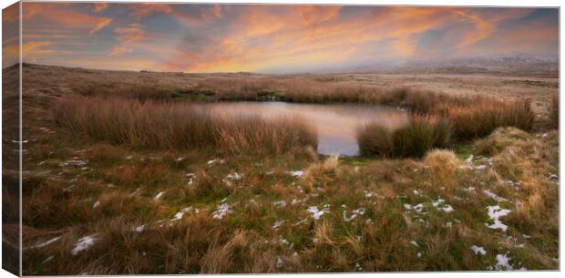 A sink hole in Winter Canvas Print by Leighton Collins
