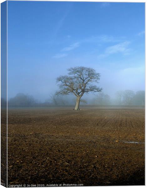 Tree surrounded by mist  Canvas Print by Jo Gee