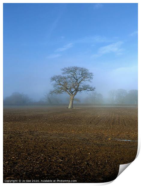 Tree surrounded by mist  Print by Jo Gee