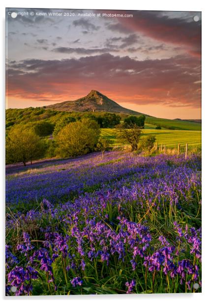 Carpet of Bluebells by Roseberry Topping Acrylic by Kevin Winter