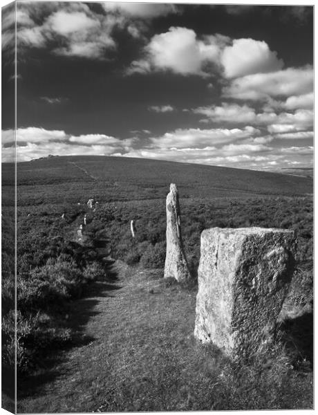 Challacombe Stone Rows Canvas Print by Darren Galpin