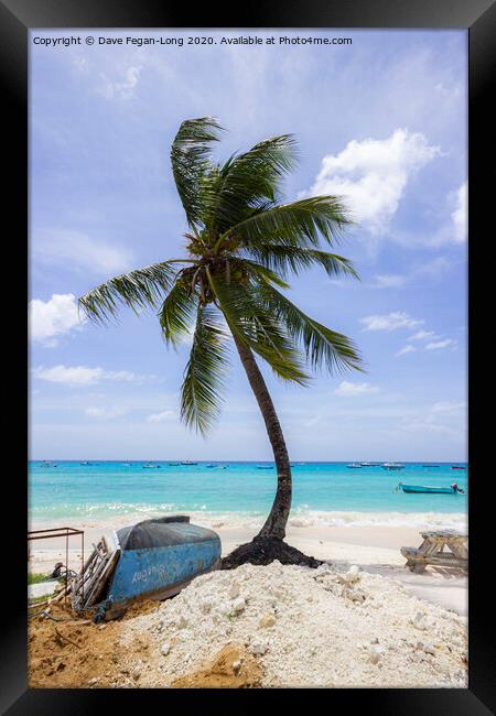 Typically Tropical Framed Print by Dave Fegan-Long
