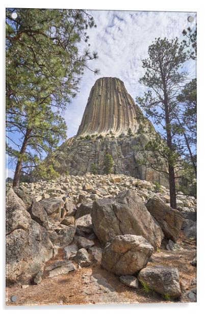 Devil's Tower National Monument Acrylic by Jim Hughes