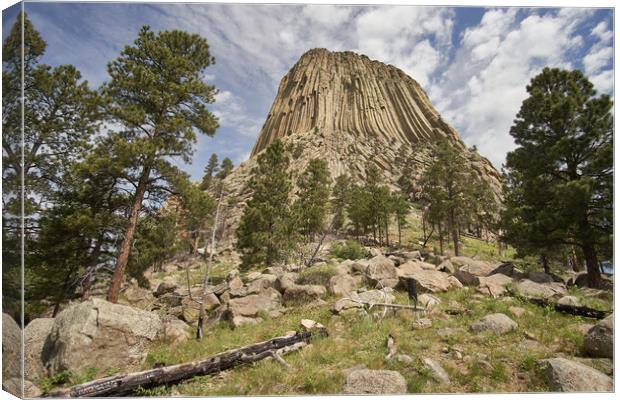 Devil's Tower, Wyoming Canvas Print by Jim Hughes