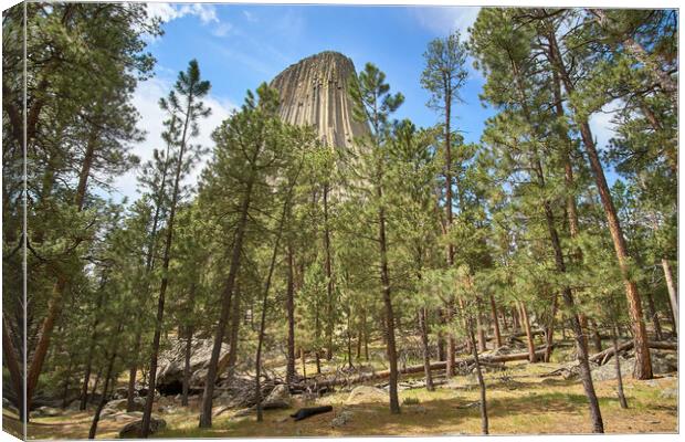 Devil's Tower National Monument, Wyoming Canvas Print by Jim Hughes