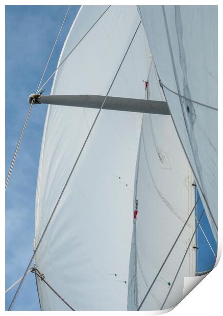 Sails in the Wind I Print by Marianne Campolongo