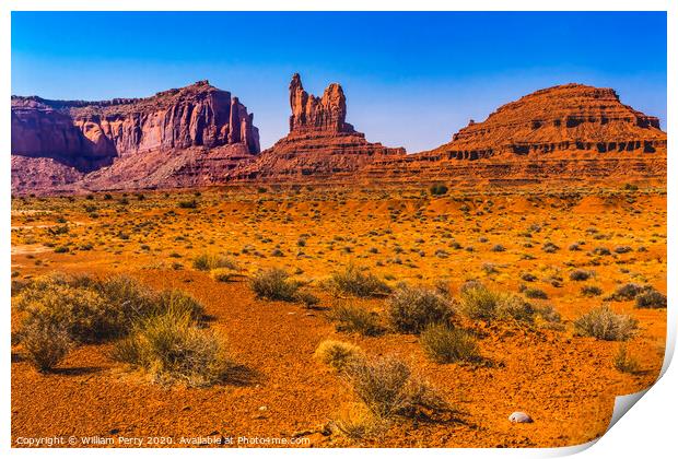 Sitting Hen Rock Formation Canyon Cliff Monument Valley Utah Print by William Perry