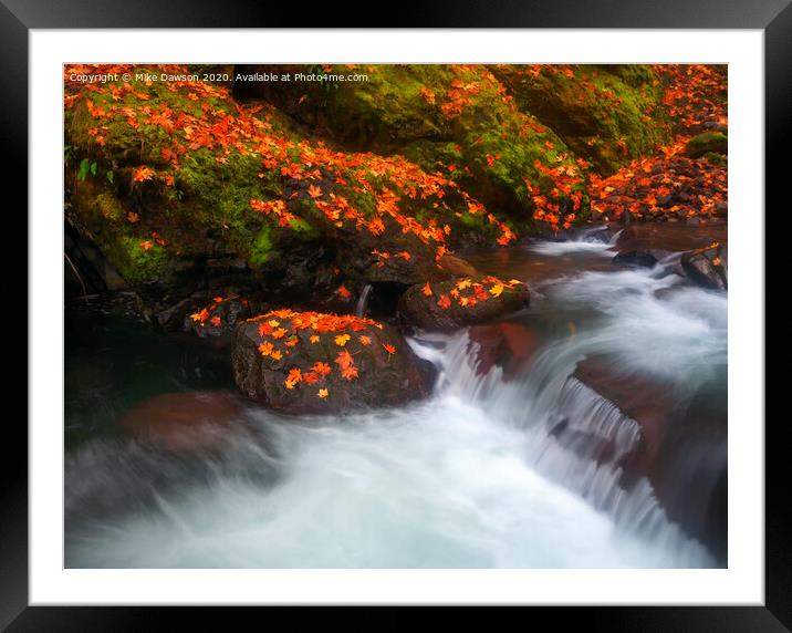 Scattered Gold Framed Mounted Print by Mike Dawson