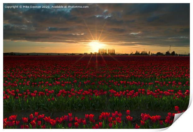 Sea of Red Print by Mike Dawson