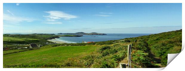 Whitesands Bay and Ramsey Island panorama from Carn Llidi Print by Paddy Art
