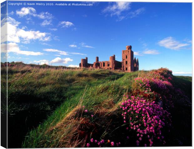 Slains Castle, Aberdeenshire with sea thrift  Canvas Print by Navin Mistry