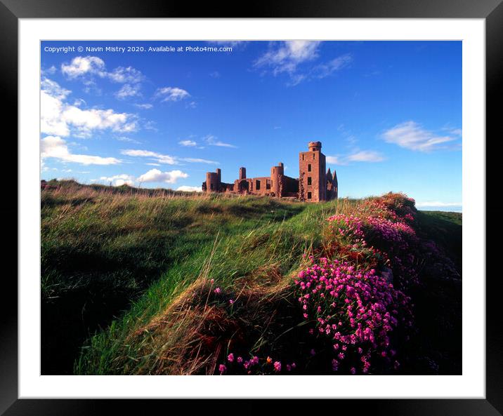 Slains Castle, Aberdeenshire with sea thrift  Framed Mounted Print by Navin Mistry
