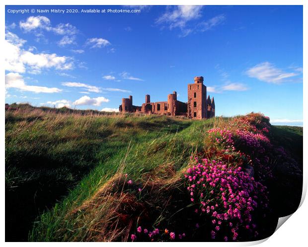 Slains Castle, Aberdeenshire with sea thrift  Print by Navin Mistry