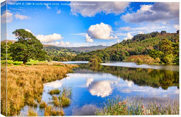 Rydal Water, Cumbria Canvas Print by Colin & Linda McKie