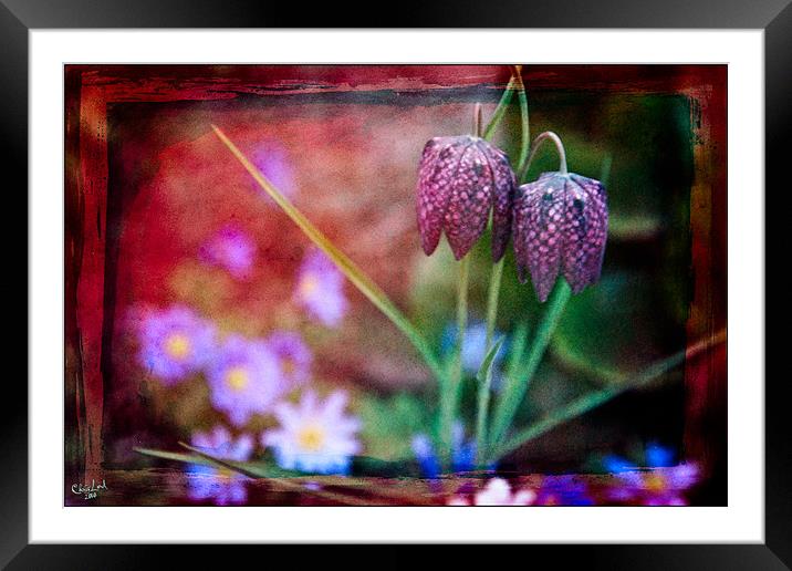 A Garden Fantasy Framed Mounted Print by Chris Lord