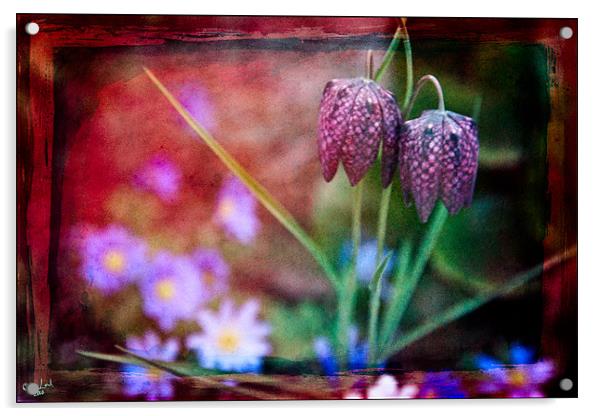A Garden Fantasy Acrylic by Chris Lord