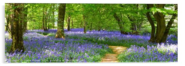 English Bluebell Woodland Path  Acrylic by Diana Mower