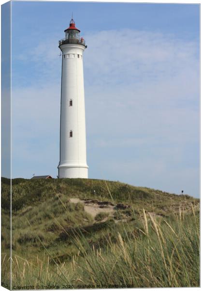 Lyngvig Fyr Lighthouse, Jutland, Denmark Canvas Print by Imladris 