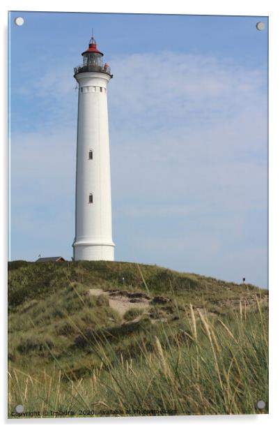 Lyngvig Fyr Lighthouse, Jutland, Denmark Acrylic by Imladris 