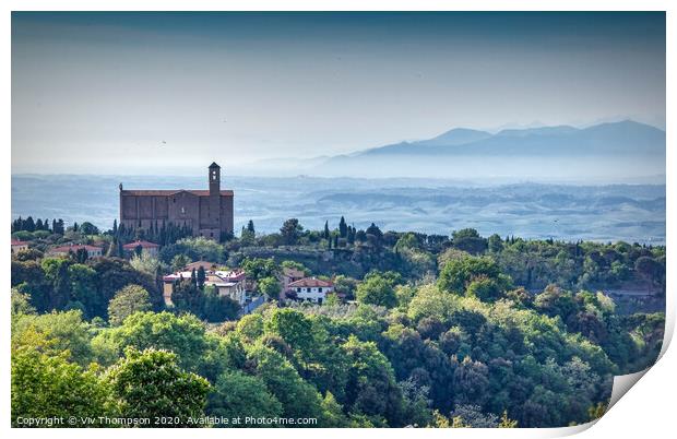 The View from Cortona Print by Viv Thompson