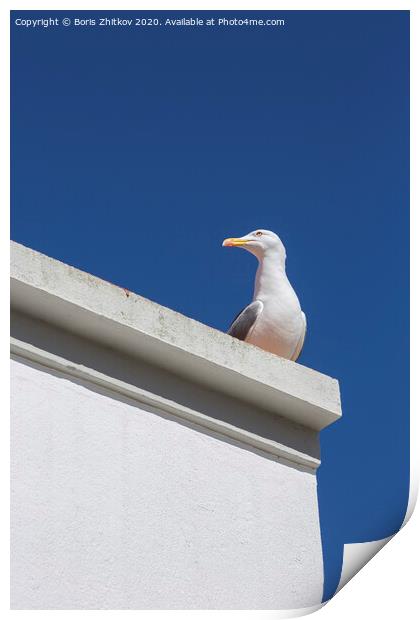 Seagull on the roof. Print by Boris Zhitkov