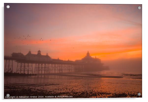 Eastbourne Pier at Sunrise Acrylic by Sebastien Greber