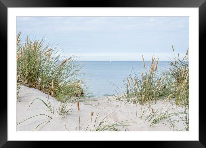 dunes with swaying beach rye and a sailboat at the horizon Framed Mounted Print by Stig Alenäs