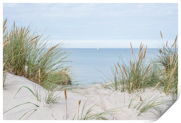 dunes with swaying beach rye and a sailboat at the horizon Print by Stig Alenäs
