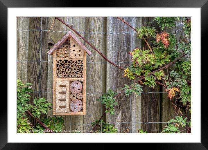 insect hotel on an old plank  Framed Mounted Print by Stig Alenäs