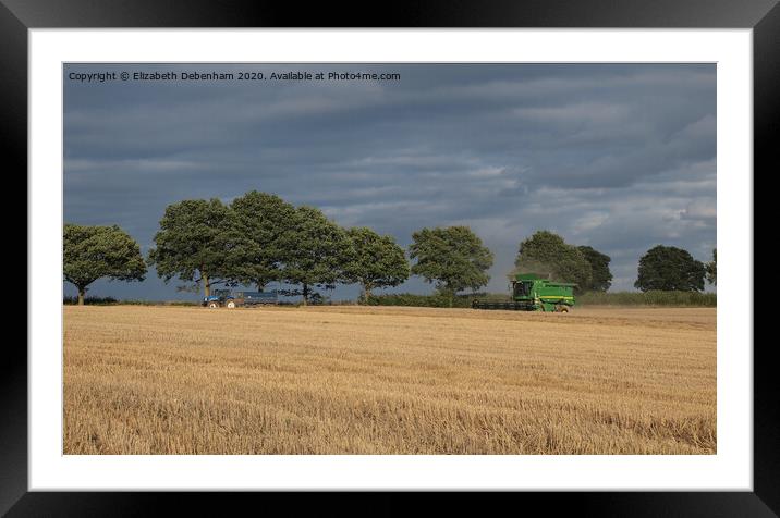 Harvesting in late summer Framed Mounted Print by Elizabeth Debenham