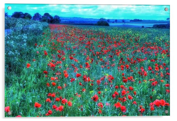 Monet poppy fields  Acrylic by Steve Taylor