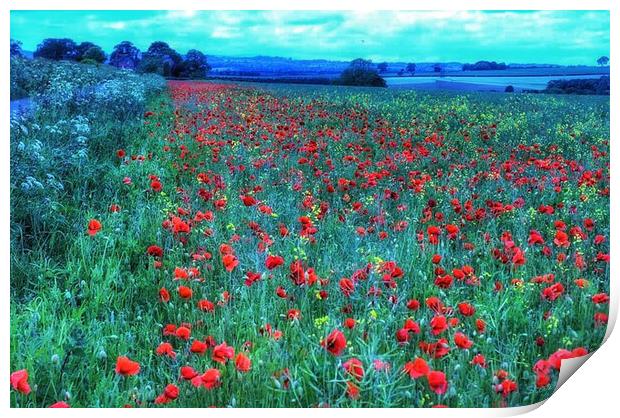 Monet poppy fields  Print by Steve Taylor