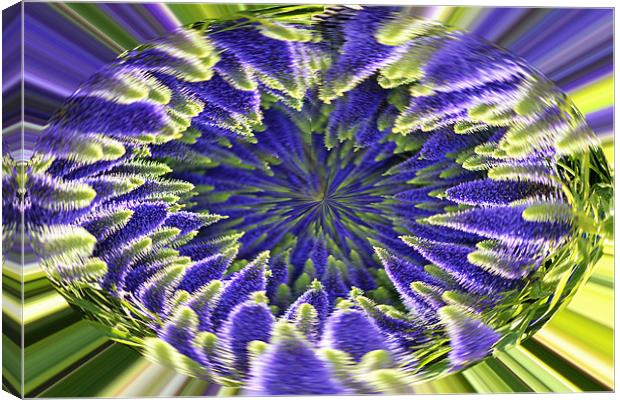 Veronica Abstract Canvas Print by Donna Collett