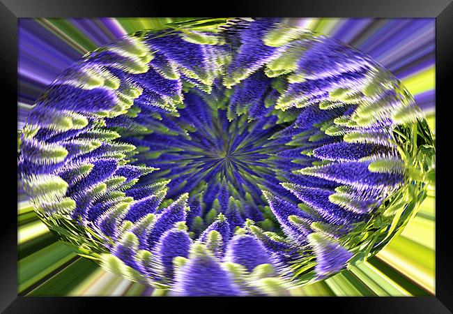 Veronica Abstract Framed Print by Donna Collett