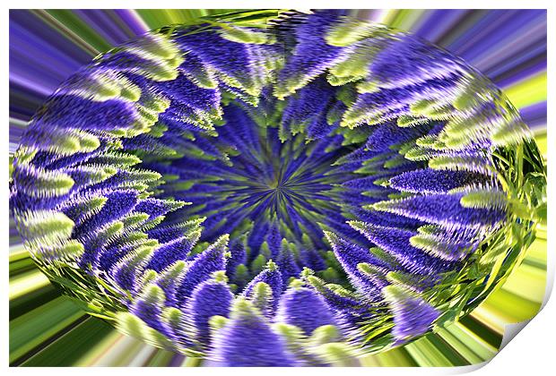 Veronica Abstract Print by Donna Collett