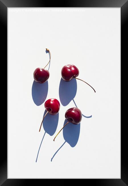 Cherry Framed Print by Boris Zhitkov