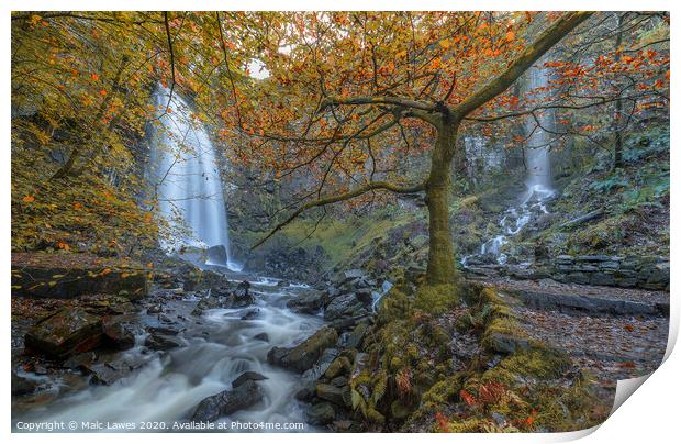 Melincourt Falls  Print by Malc Lawes