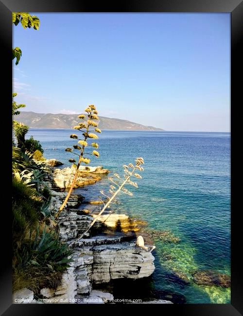 Aloes at Agia Efimia, Kefalonia Framed Print by Gaynor Ball