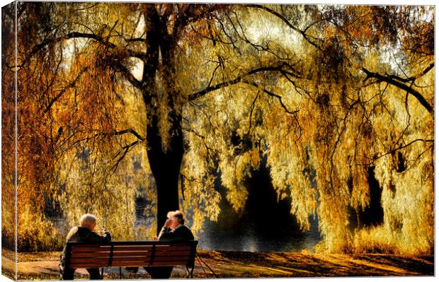 Golden Moments Canvas Print by Elaine Manley