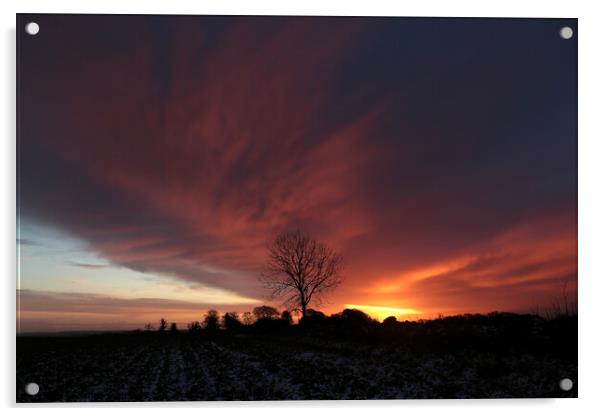  Cotswold Sunrise Acrylic by Simon Johnson