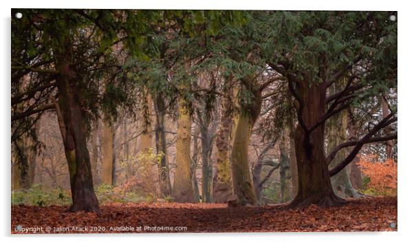 Autumn Woodland Trees Acrylic by Jason Atack