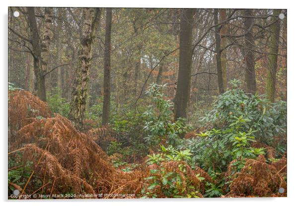Misty woodland Acrylic by Jason Atack