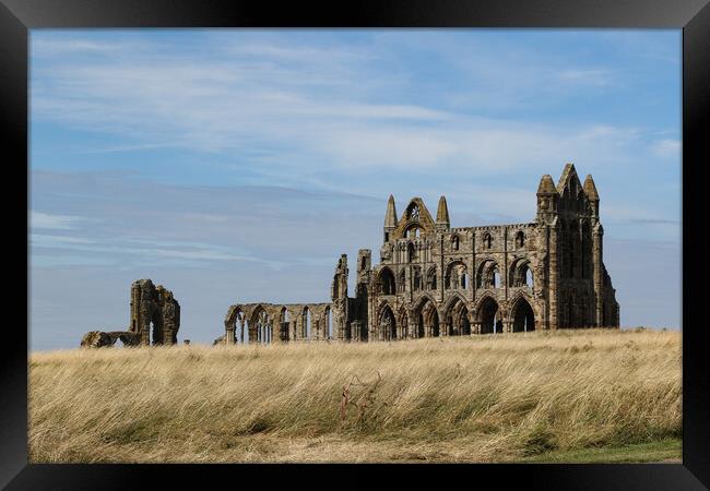 Whitby Abbey Framed Print by Oxon Images