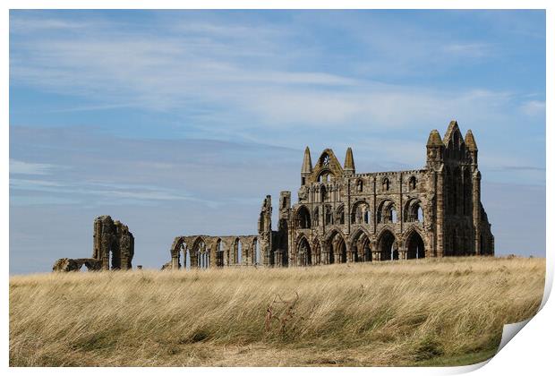 Whitby Abbey Print by Oxon Images