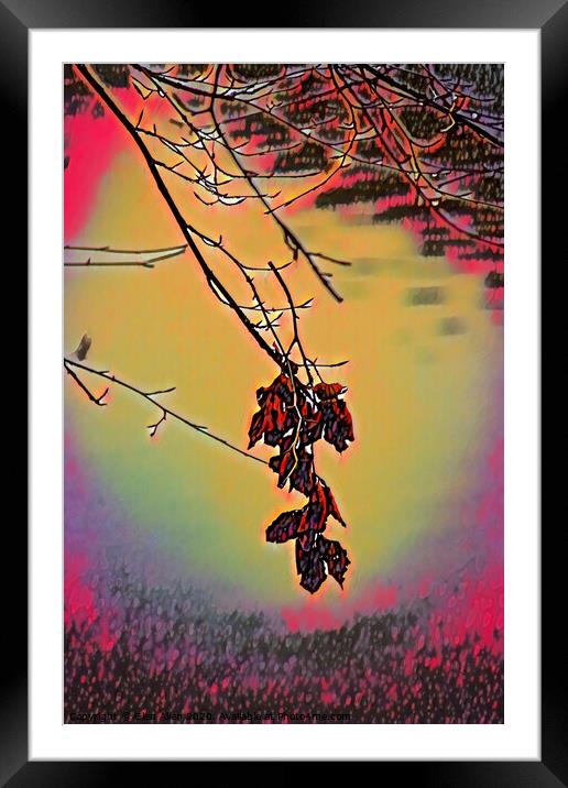 Winter Leaves - Abstract  Framed Mounted Print by Glen Allen