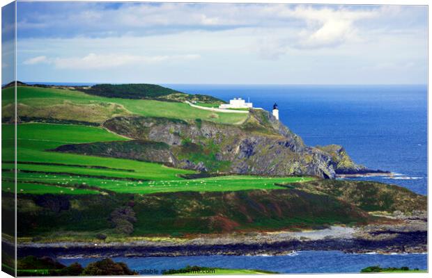 Maughold Head Canvas Print by Steven Watson