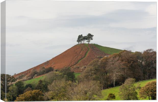 Colmers Hill Canvas Print by Graham Custance