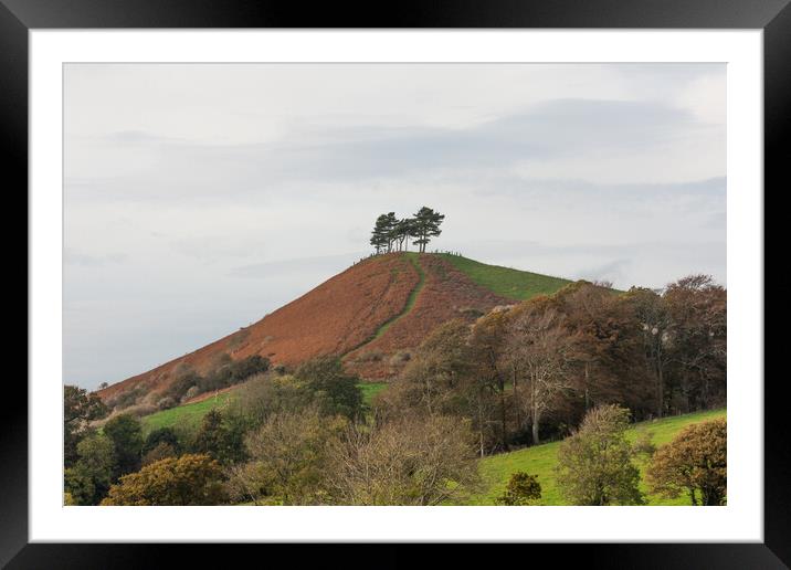 Colmers Hill Framed Mounted Print by Graham Custance